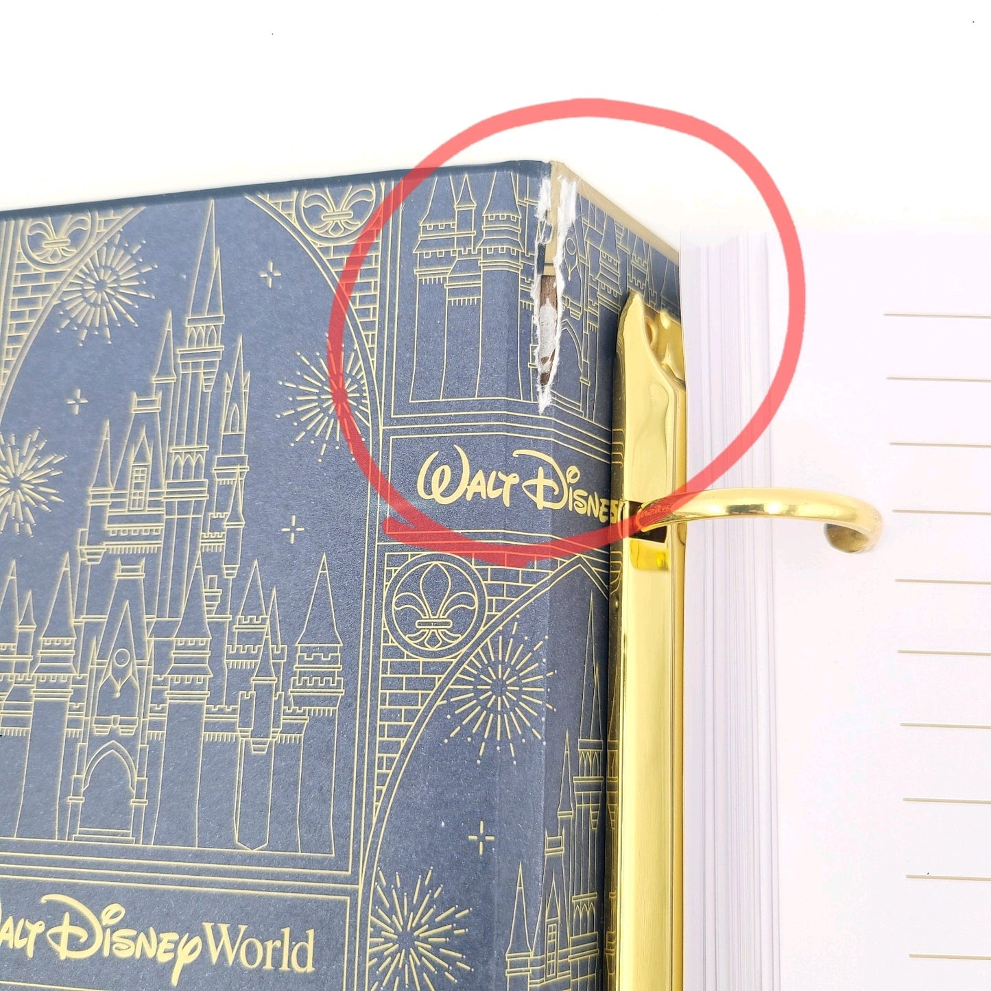 READ DESC 2025 Walt Disney World Parks Gold Fireworks Photo Album Castle Picture