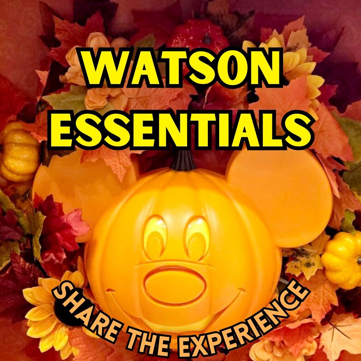 WatsonEssentials